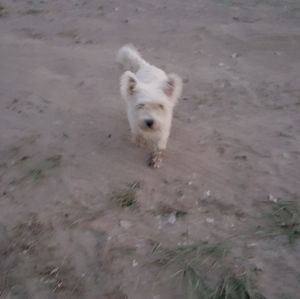 Meet your Posher, Candy